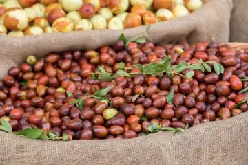 Hünnap Sirkesi Tarifi ve Malzemeleri